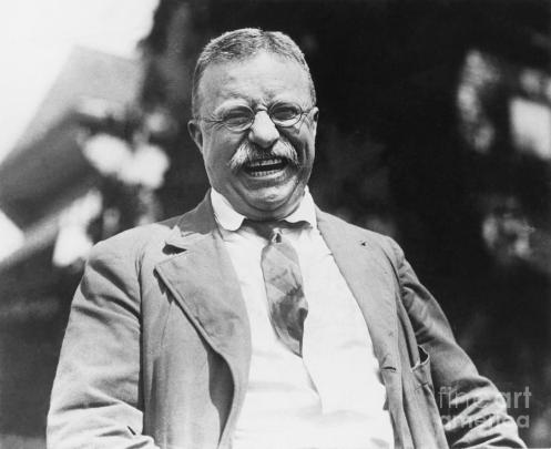 14-theodore-roosevelt-granger