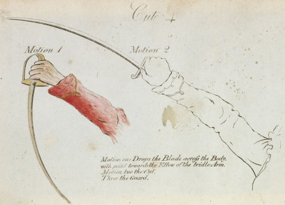 One of the six cuts, illustrating the articulation of the hand